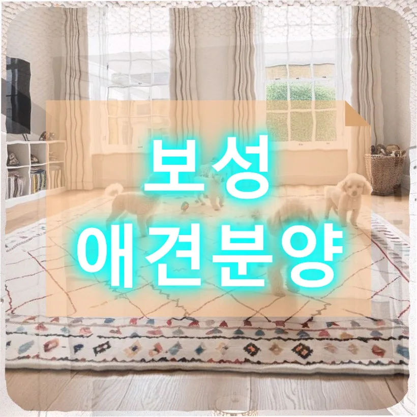 보성 애견분양, 반려견 입양 전 필수 체크리스트 2026
