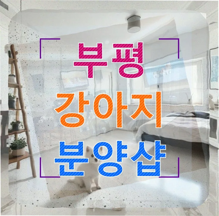 부평 강아지 분양 2026: 아기 맞이 준비, 현명한 선택 가이드