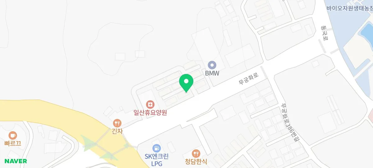 파주 말티즈 분양 2026: 신중한 입양을 위한 필수 체크리스트