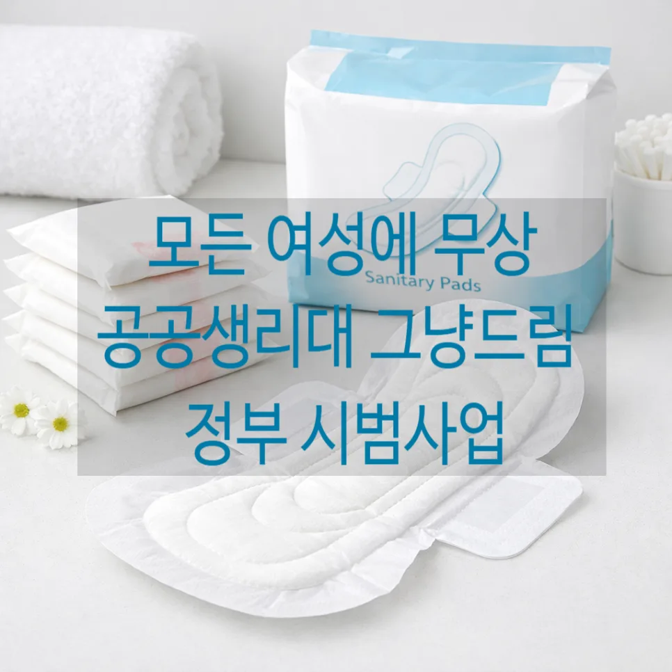 공공생리대 무상지원 2026년 시범사업 총정리