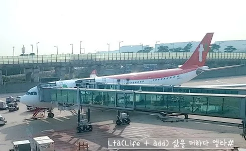 티웨이 TW403 프랑크푸르트 직항 2026년 완벽 가이드: 기내식·좌석·꿀팁