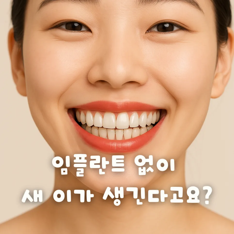 실험실 치아 배양 2026: 내 치아 다시 자랄까? 성공 사례와 전망