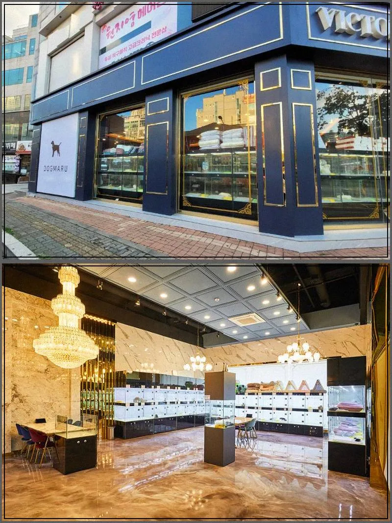 하남 강아지 분양 2026: 건강한 반려견 입양을 위한 필수 체크리스트 2