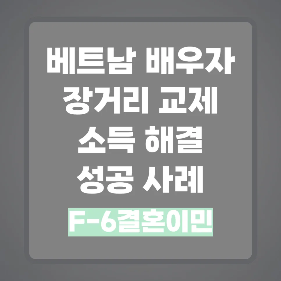 베트남 F6 국제결혼비자 성공 사례 2026: 장거리 연애 소득 인정받는 법