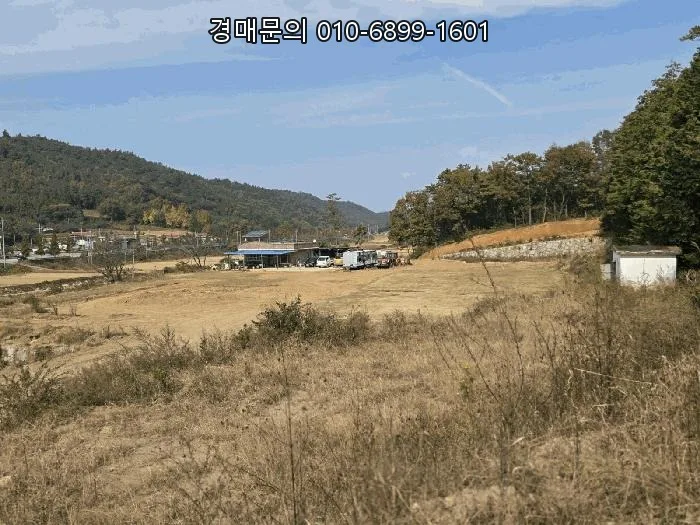 보성 토지 경매 2026: 4회 유찰된 전원주택 투자 기회
