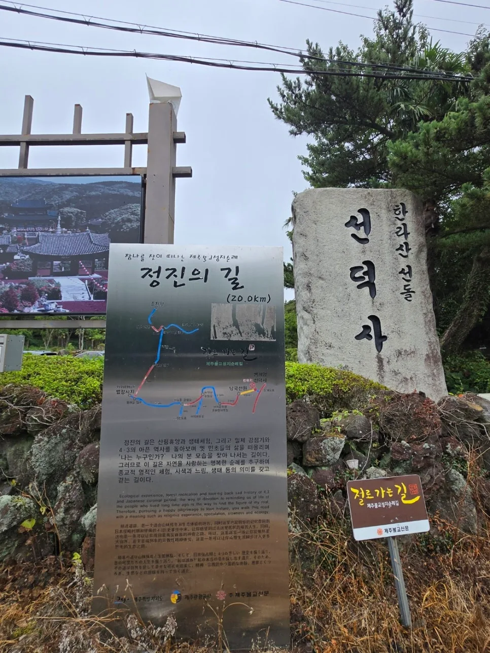 제주 고살리 숲길, 2026년 탐방 전 꼭 알아야 할 3가지 3