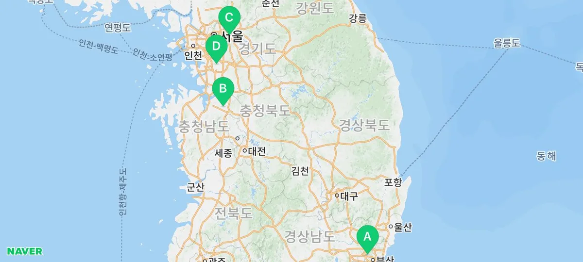 아메리칸 숏헤어 수명 17년 이상? 건강 관리법 총정리 2026 — 반려동물 — yakooroo
