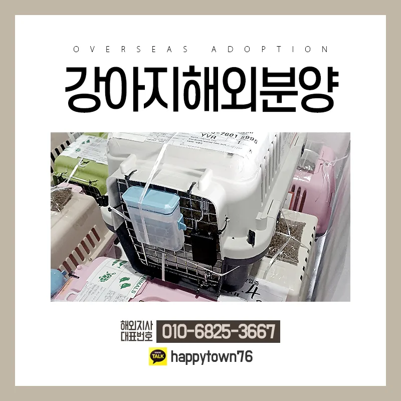 2026년 해외 거주자를 위한 강아지 해외 입양 완벽 가이드 2