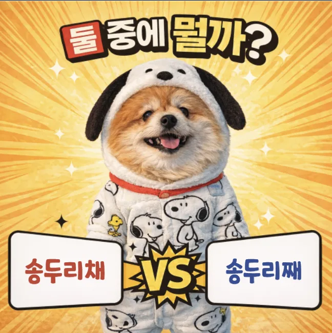 송두리째 vs 송두리채, 2026년 올바른 맞춤법 완벽 정리