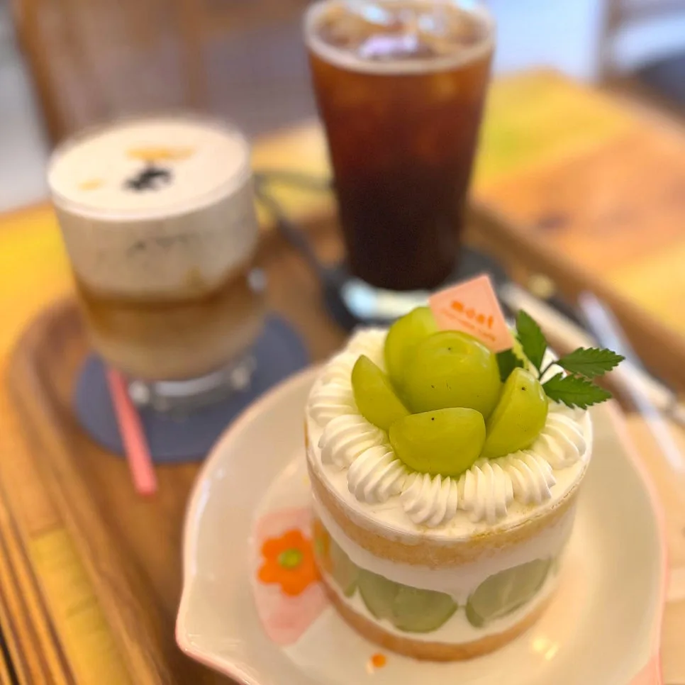 강남 쌀케이크 맛집 몽트: 글루텐프리 디저트 2026년 후기