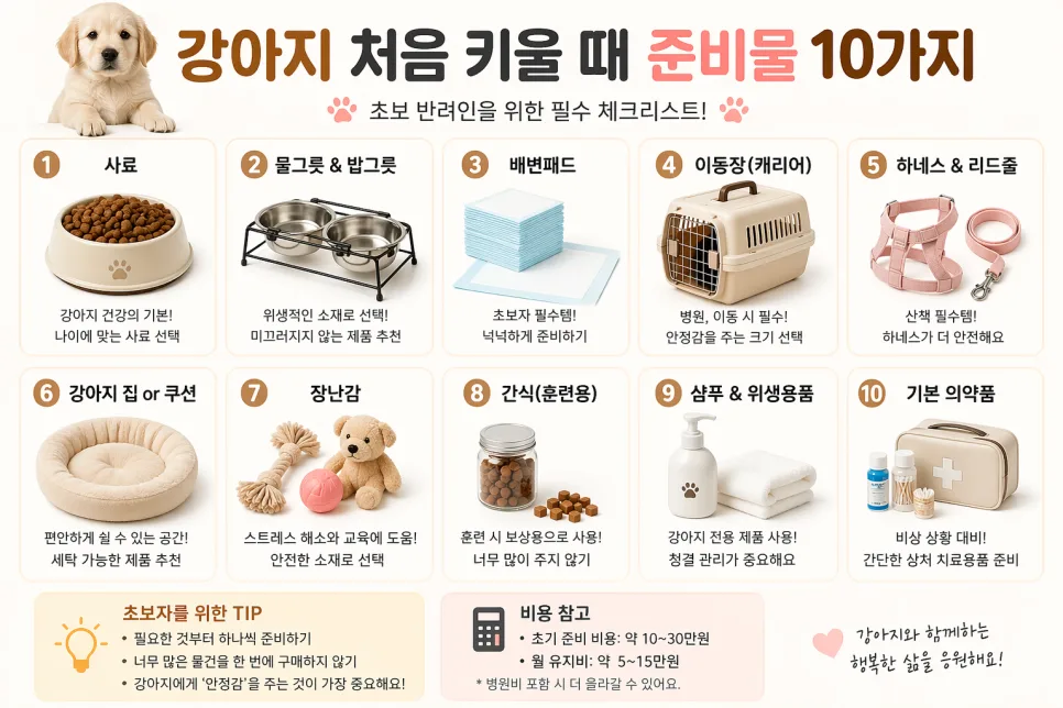 2026년 초보 반려인 필수 준비물 10가지와 강아지 적응 꿀팁