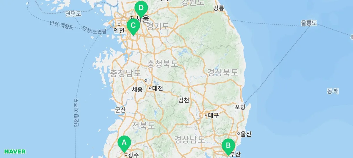 광주 고양이 분양, 도그마루에서 믿음직한 반려묘 찾기 2026