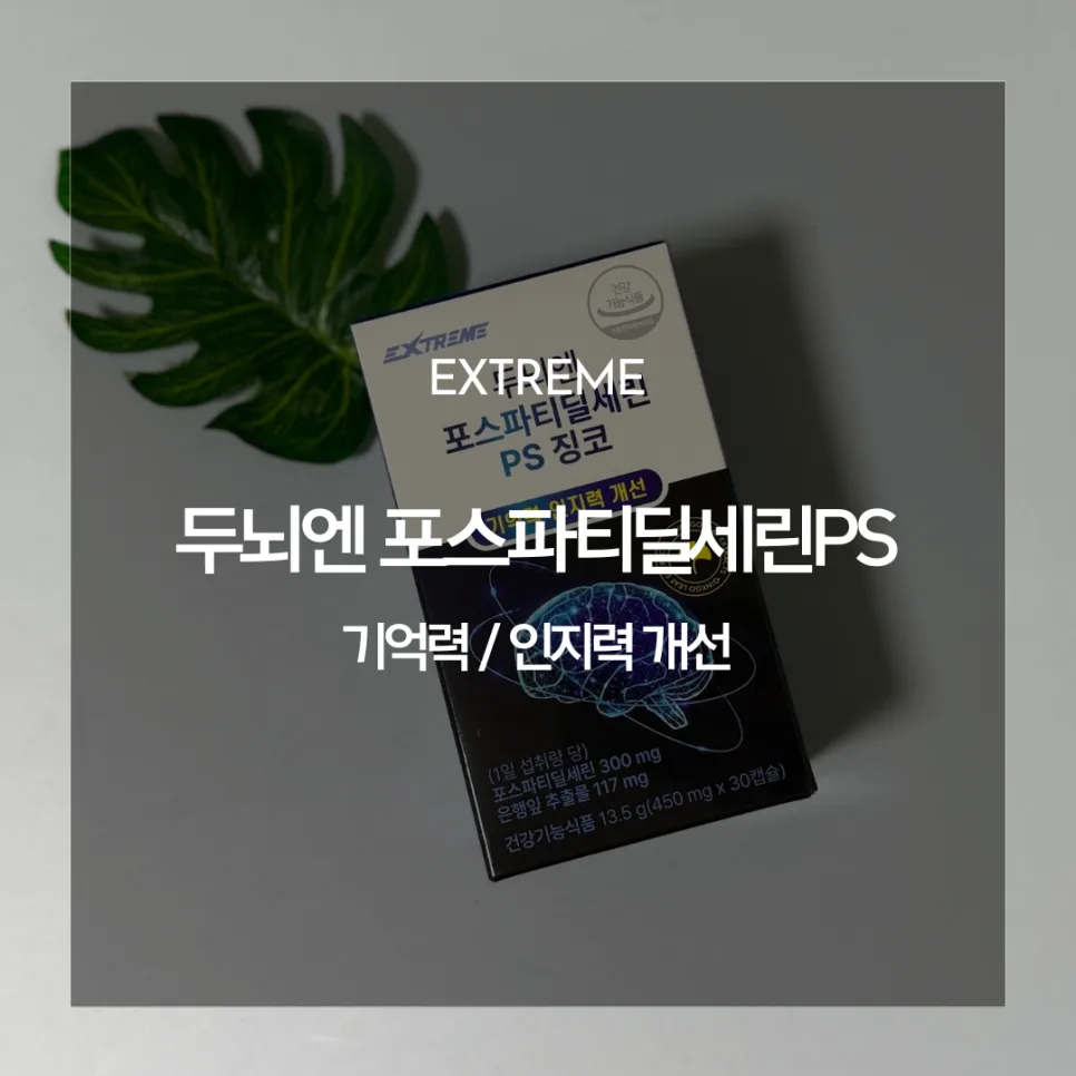 포스파티딜세린 PS 징코 2026: 기억력 개선 효과와 복용법 총정리