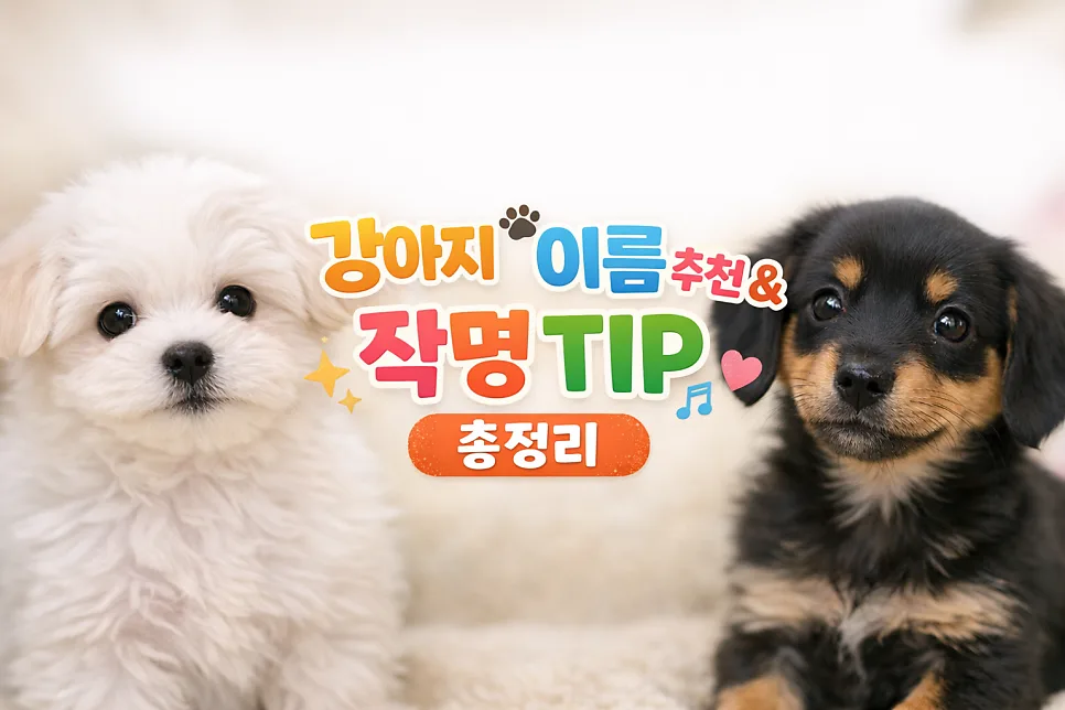2026년 반려견 이름 작명 TIP & 인기 순위 총정리