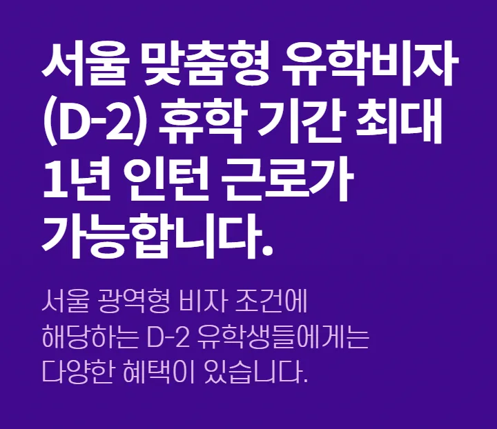 서울형 유학비자 D-2 혜택 완벽 분석 (2026년 최신 정보)