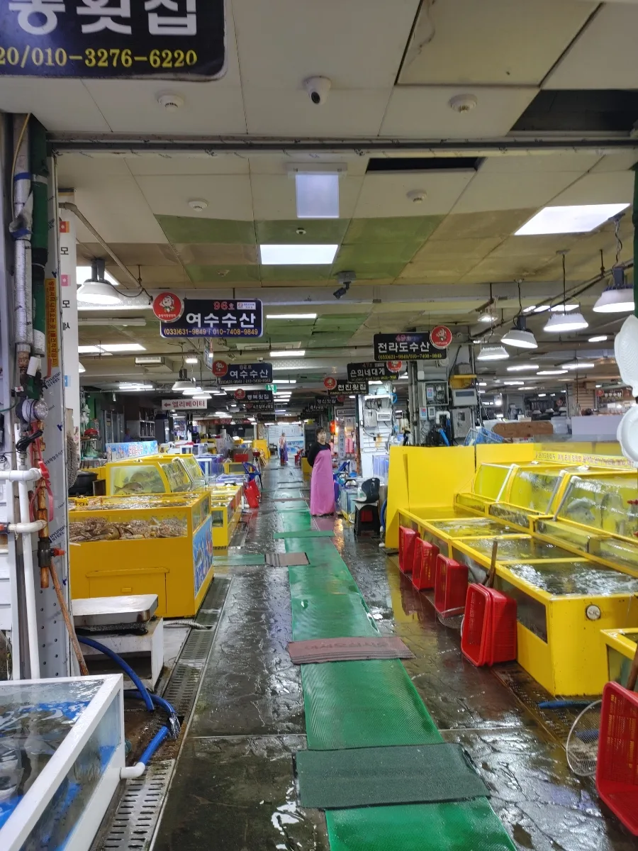 Sokcho Fish Market Guide 2026: Best Seafood Deals