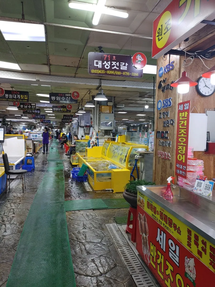 Sokcho Fish Market Guide 2026: Best Seafood Deals 3