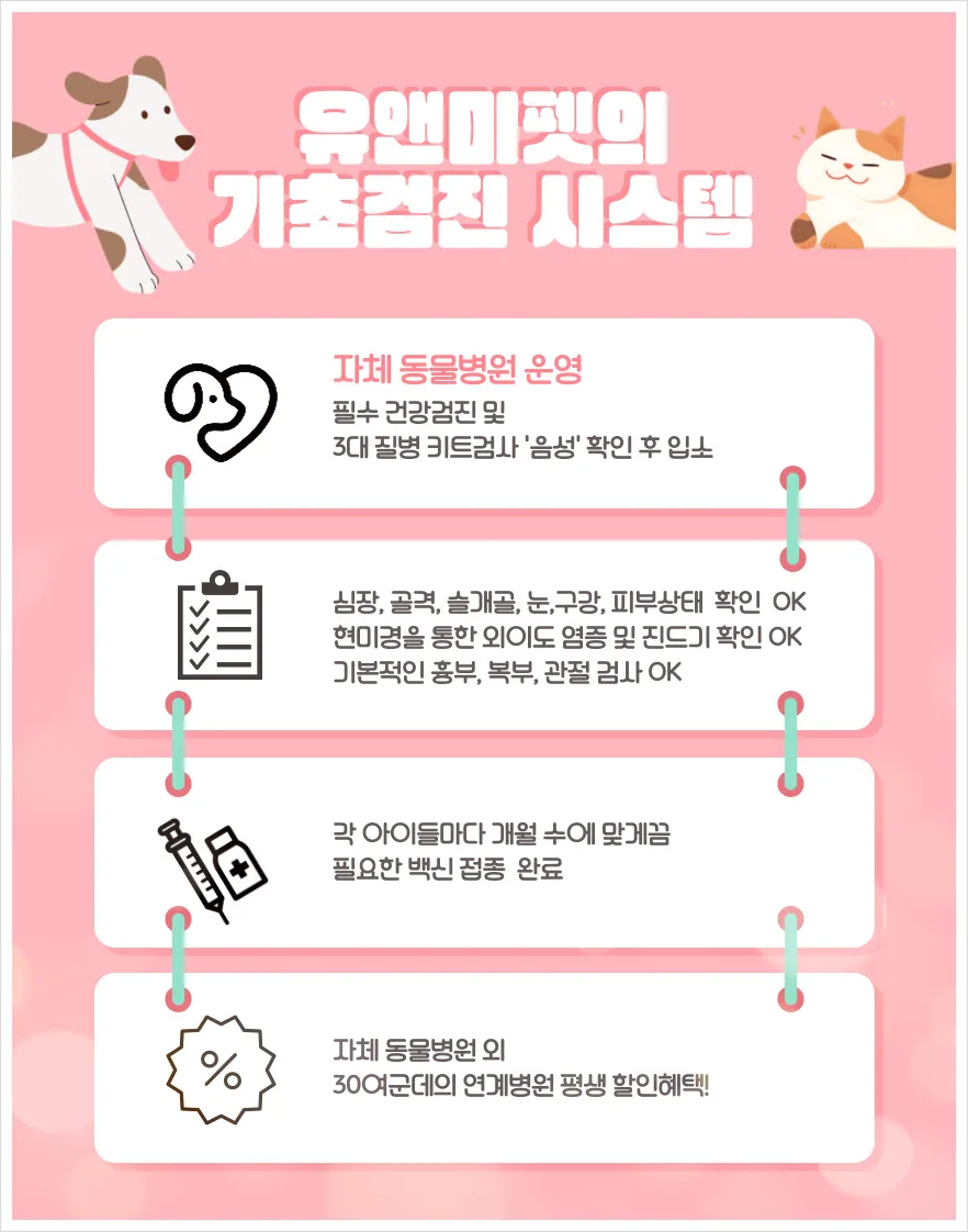 2026년 일산 비숑프리제 분양, 유앤미펫 경험 기반 건강한 반려견 찾는 법 2
