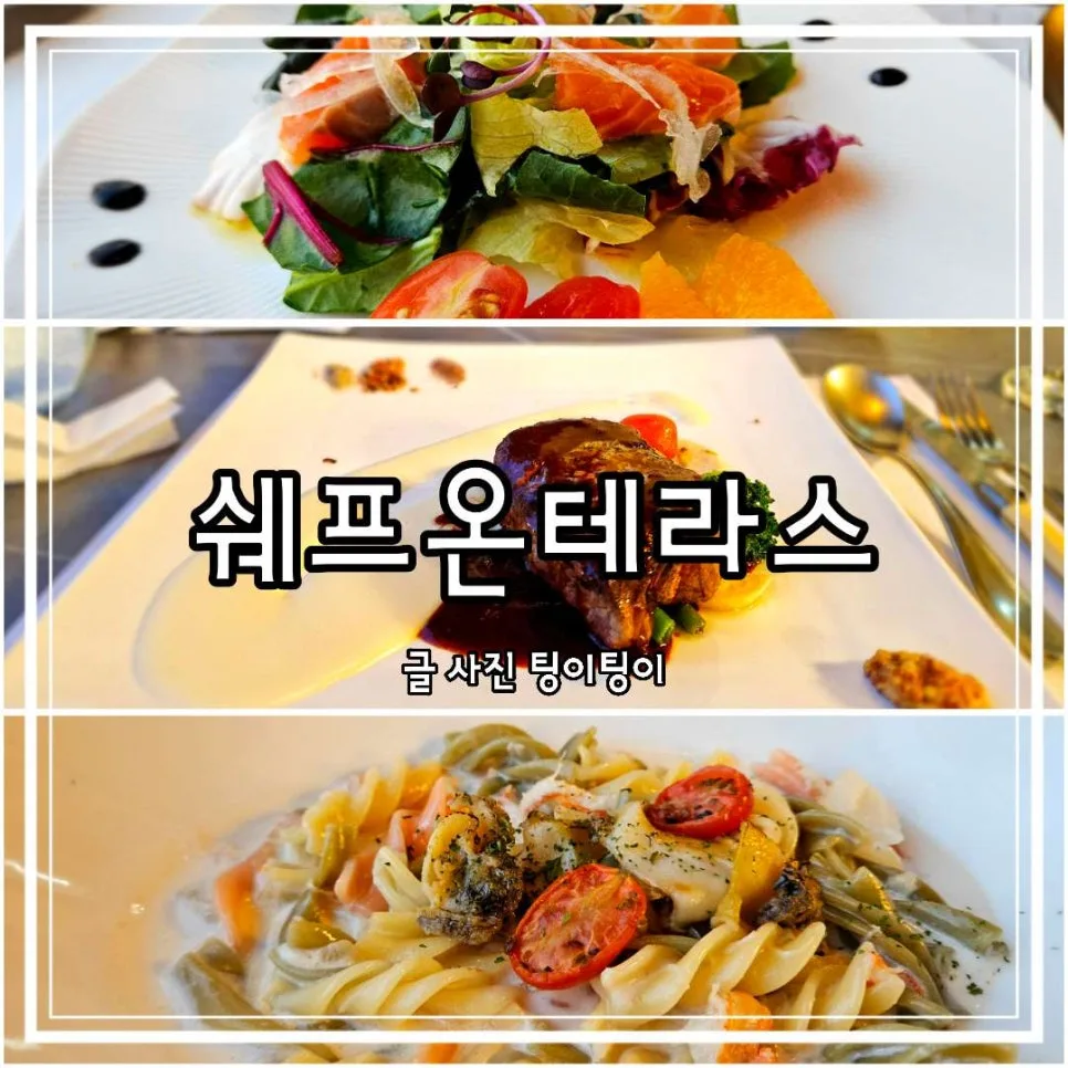 일산 스테이크 맛집 2026: 쉐프온테라스 코스요리 가성비 비교
