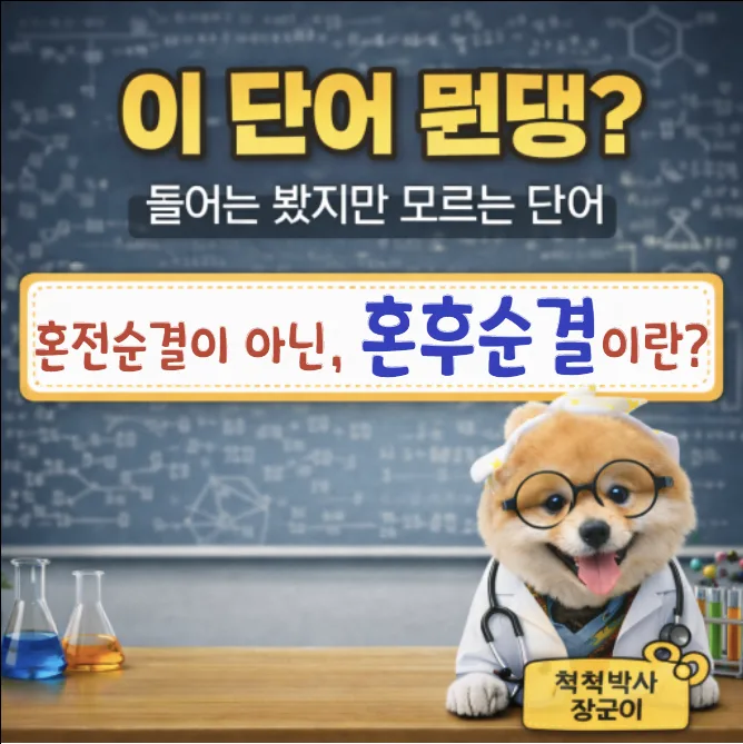 혼후순결 뜻 2026: 섹스리스 부부 증가 원인과 해결책