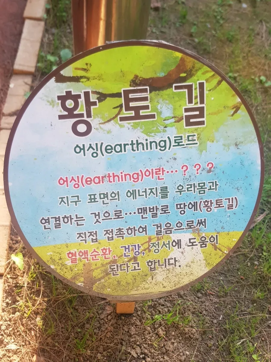 맨발걷기 황톳길 효과 2026: 건강 증진 비결 5가지