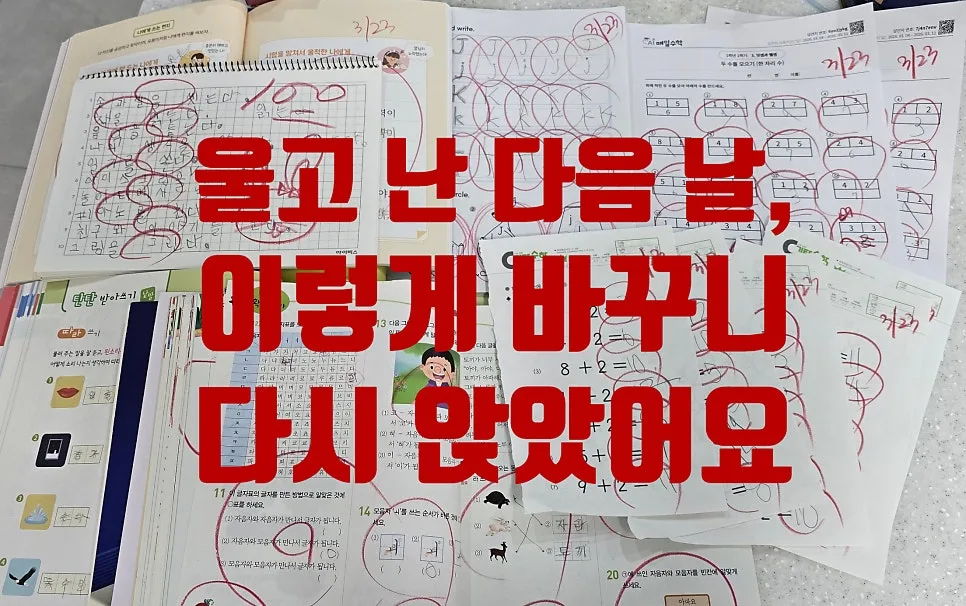 초1 엄마표 공부, 울었던 아이 다시 앉히는 법 2026