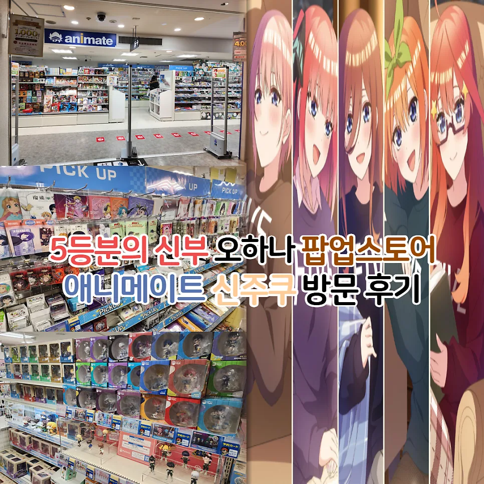 5등분의 신부 오하나 팝업 스토어 방문 후기 (2026년 최신 정보)