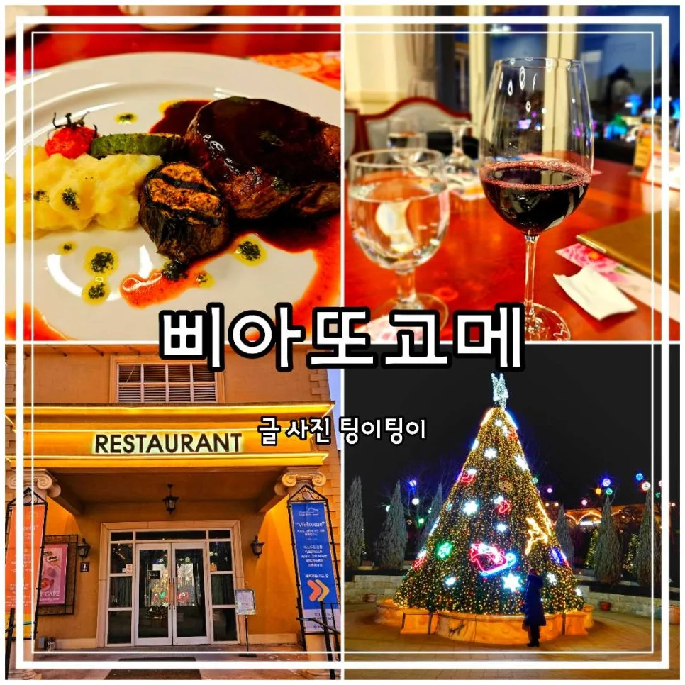 파주 일산 데이트코스 삐아또고메: 가성비 코스요리 2026년 총정리