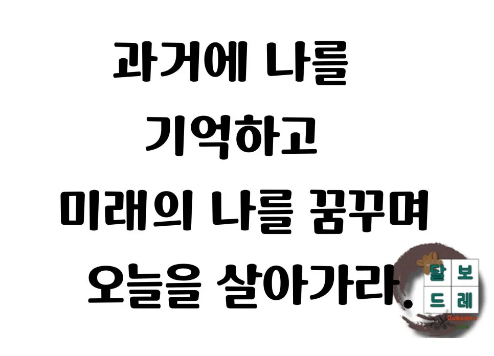카페 창업, 이런 사람은 절대 하지 마세요 (2026년 현실 점검)