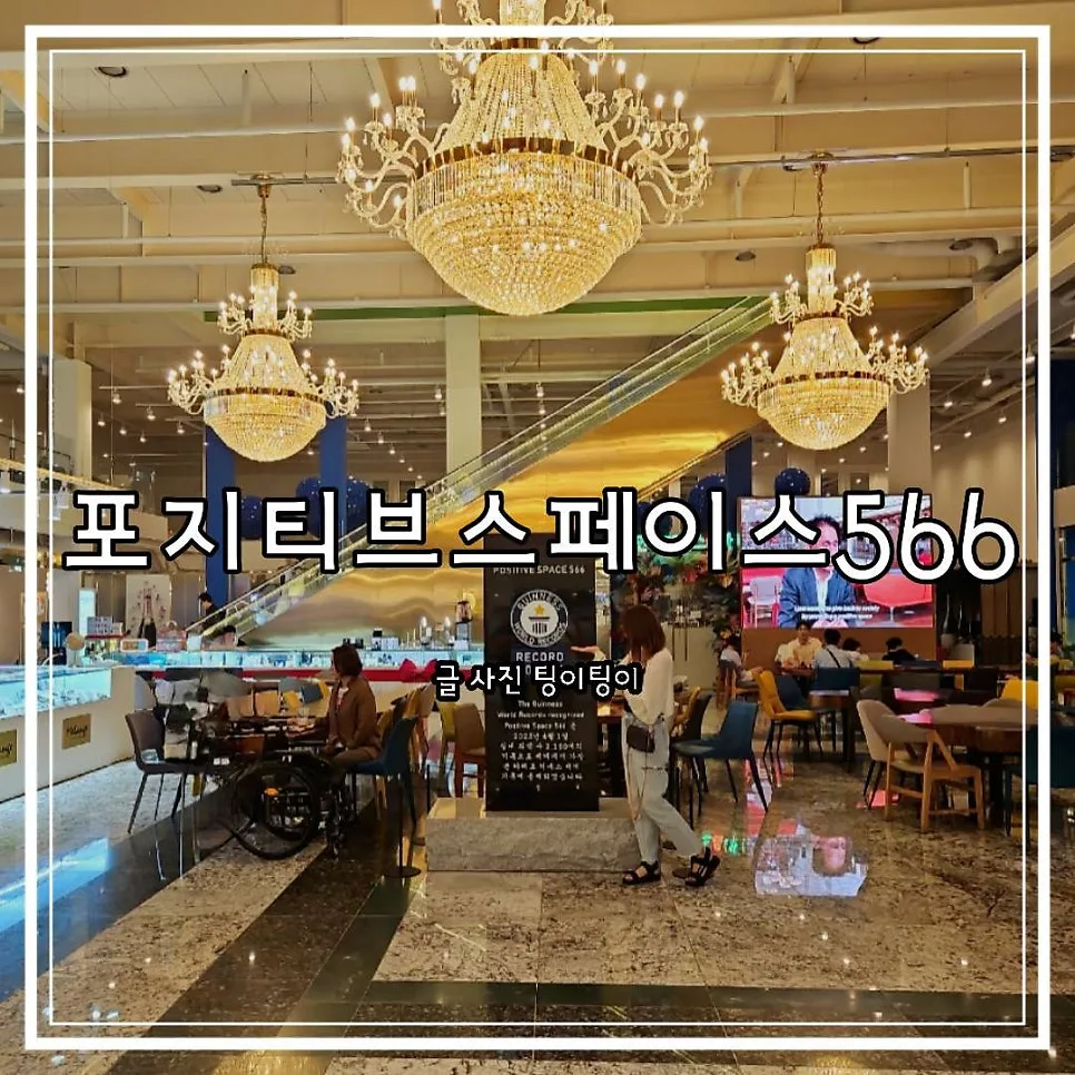 김포 기네스북 카페 2026: 포지티브스페이스566 방문 후기 및 정보
