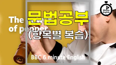 BBC 6분 영어: 후추의 숨겨진 힘과 문법 완전 정복 2026