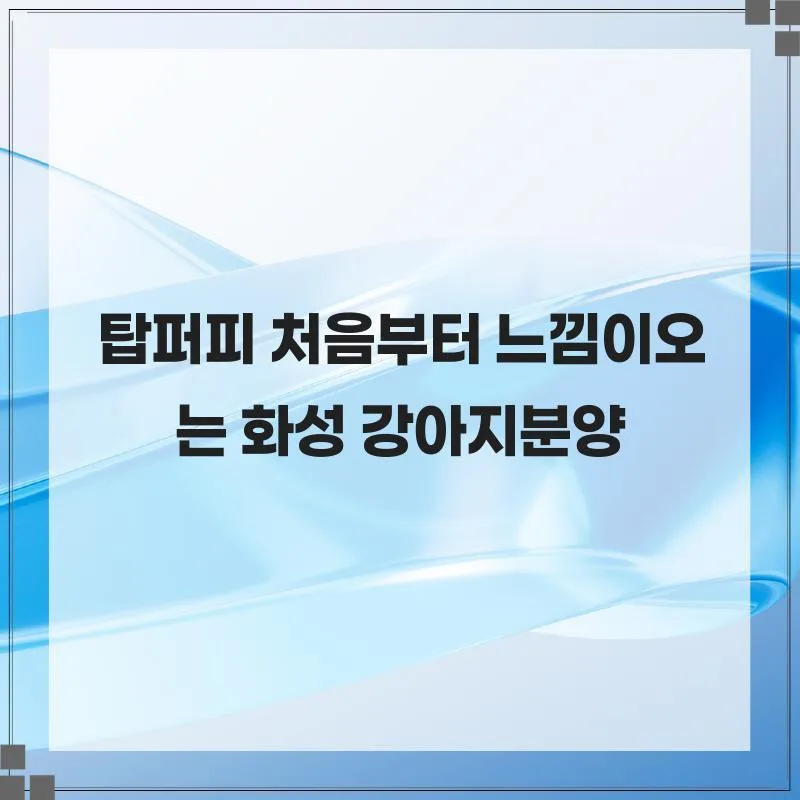 화성 강아지 분양, 탑퍼피에서 건강한 반려견 찾는 법 2026