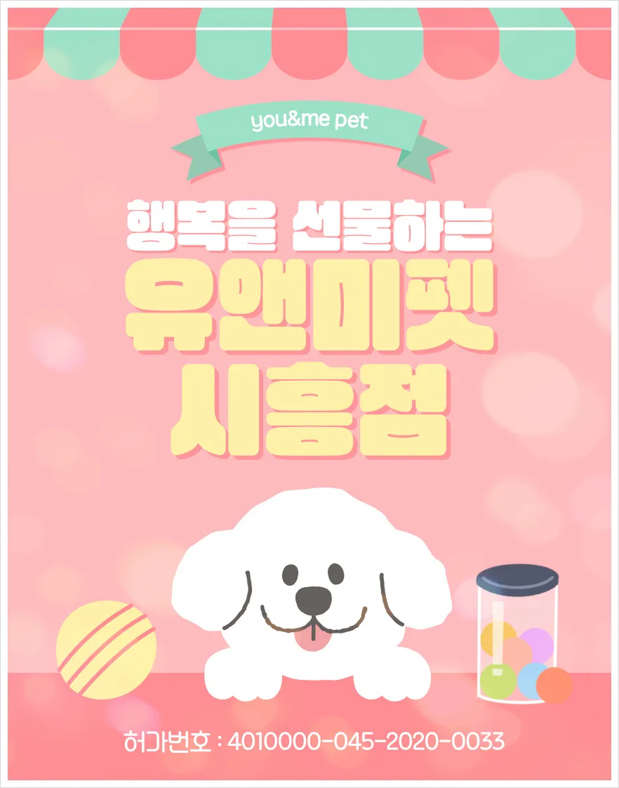 광명 포메라니안 분양 2026: 유앤미펫 입양 후기 및 건강 체크리스트