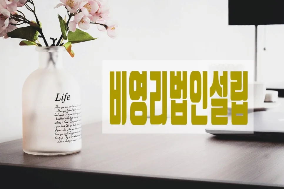 비영리사단법인 설립 허가 기준 및 절차 완벽 분석 2026