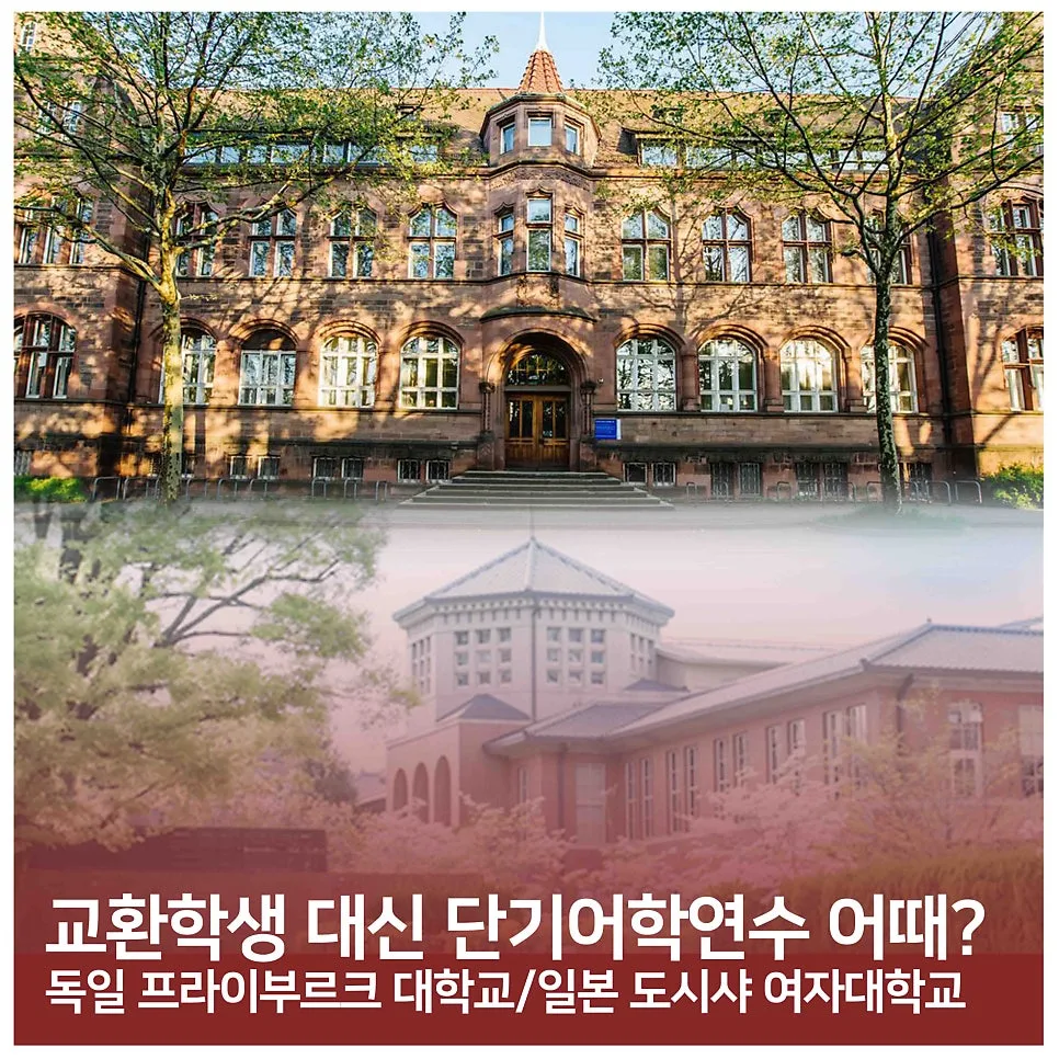 독일/일본 단기 어학연수 2026: 교환학생 대안 될까?