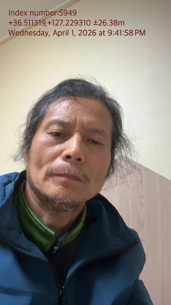 과학 vs 공학 vs 문학 vs 예술: 관계의 본질 탐구 2026