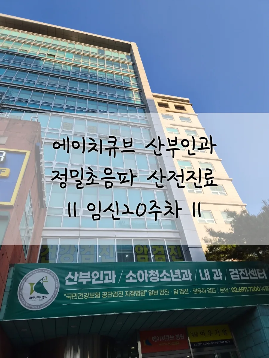 에이치큐브병원 산부인과 정밀초음파 후기 (2026년 최신)