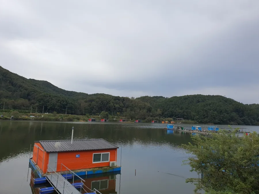 용인 신원낚시터 2026: 1박 비용, 시설, 주의사항 완벽 정리
