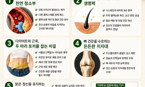 안양 에버포레 청약 경쟁률 2026: 최고 기록 분석 2
