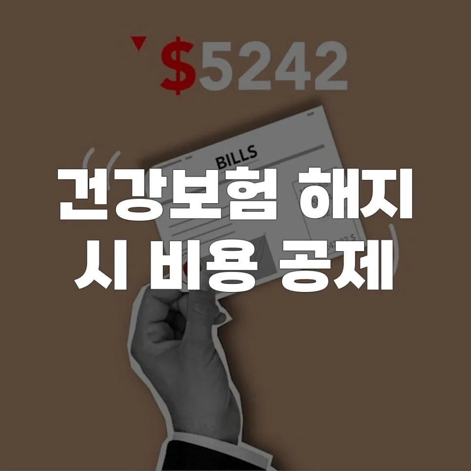 건강보험 해지 후 비용 공제 2026: 환급금 및 세액공제 총정리