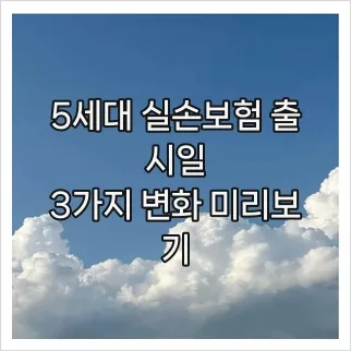5세대 실손보험 출시일과 3가지 핵심 변화 (2026년 전망) 2