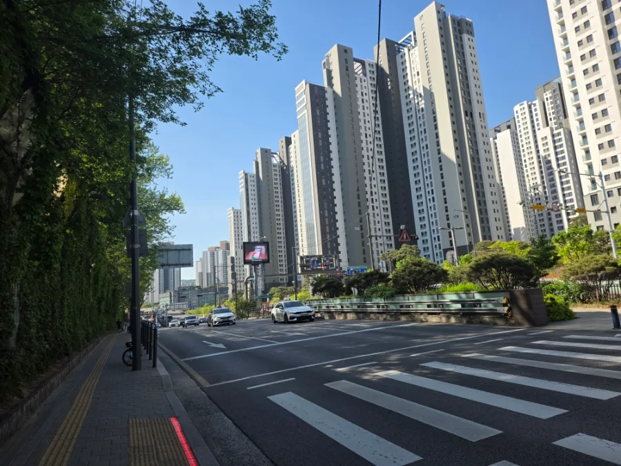 원베일리 상가 맛집 '서래향' 2026년 삼선짬뽕 솔직 후기 2