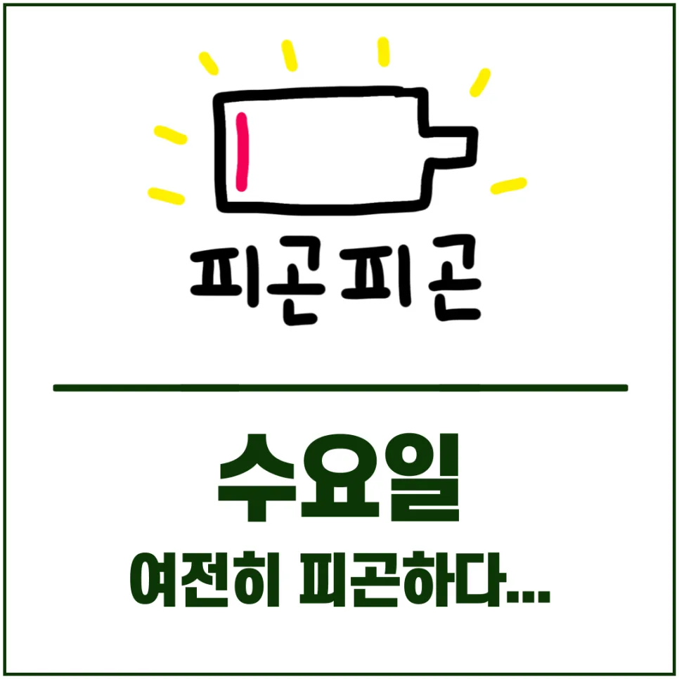 수요일 피로, 왜 이어질까? 2026년 원인과 극복법 총정리