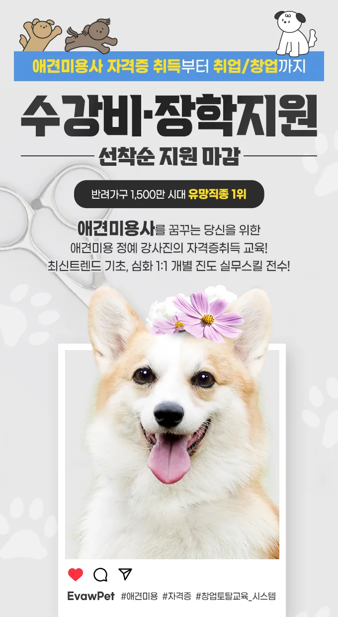 창원 애견미용 국비지원 2026년 혜택 총정리 2