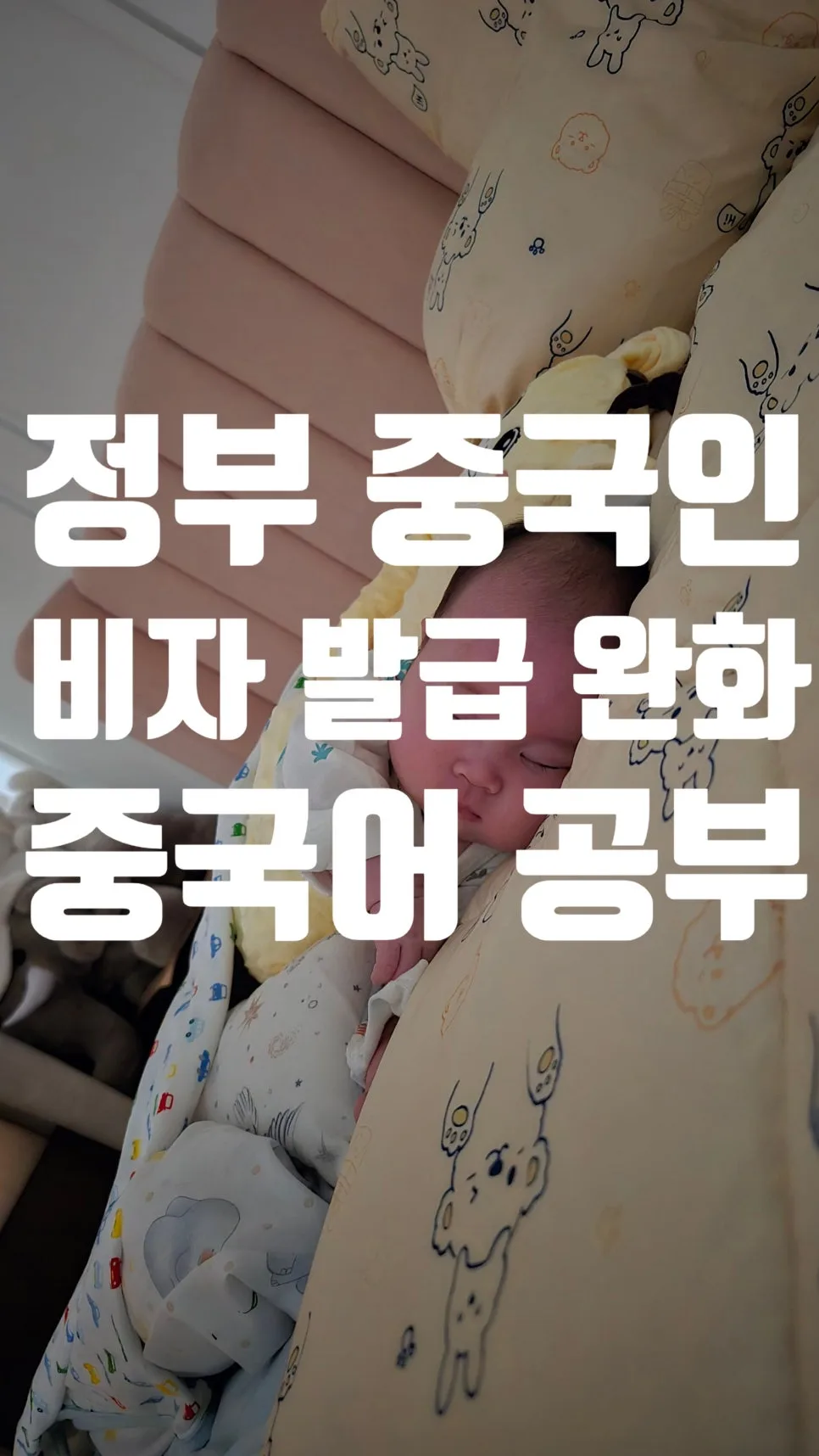 중국인 관광객 위한 한국 식당 회화 20선 (2026년 비자 완화 대비)
