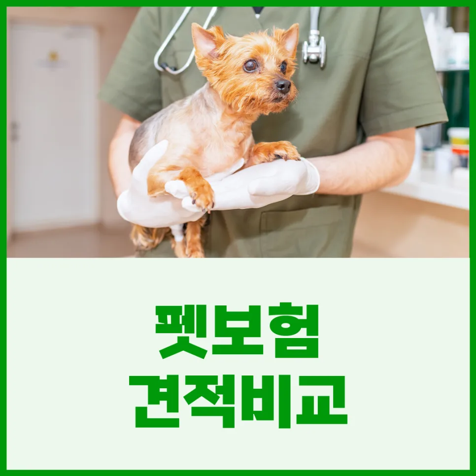 2026년 펫보험, 강아지/고양이 필수 보장과 현명한 선택법