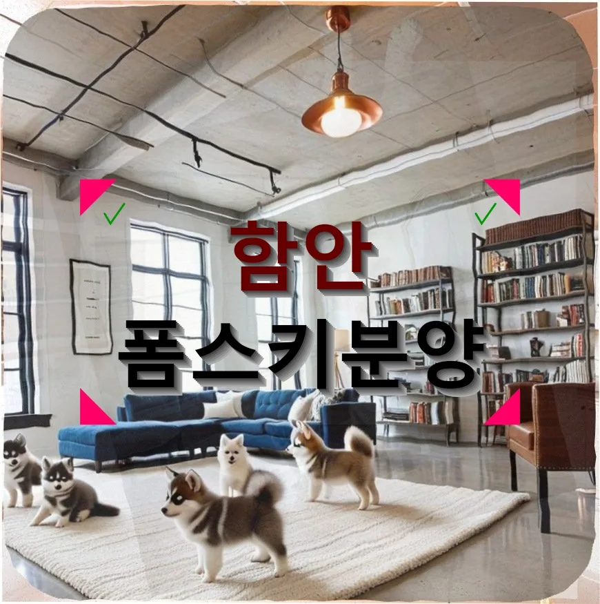 함안 폼스키 분양 2026: 1인 가구 성공 후기 (80만원, 쿨매트)