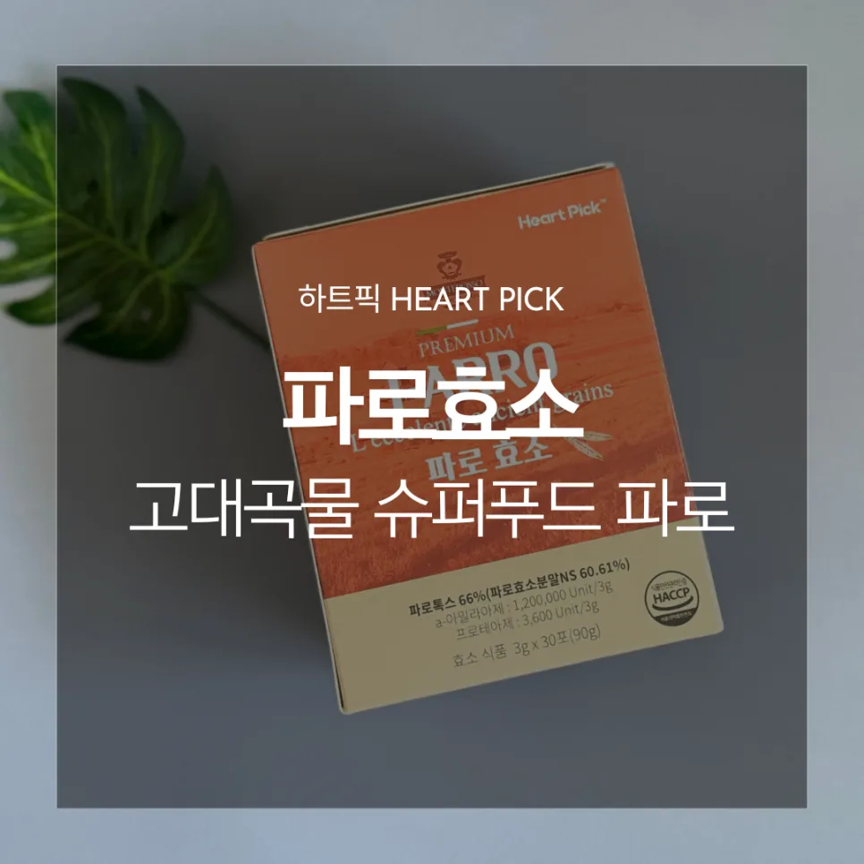 파로톡스 효소 2026: 저당저탄 식단 핵심 성분 총정리