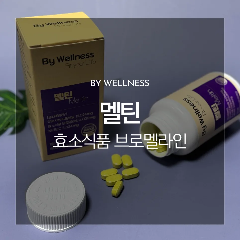 멜틴 퀘르세틴 효능, 2026년 최신 정보 총정리