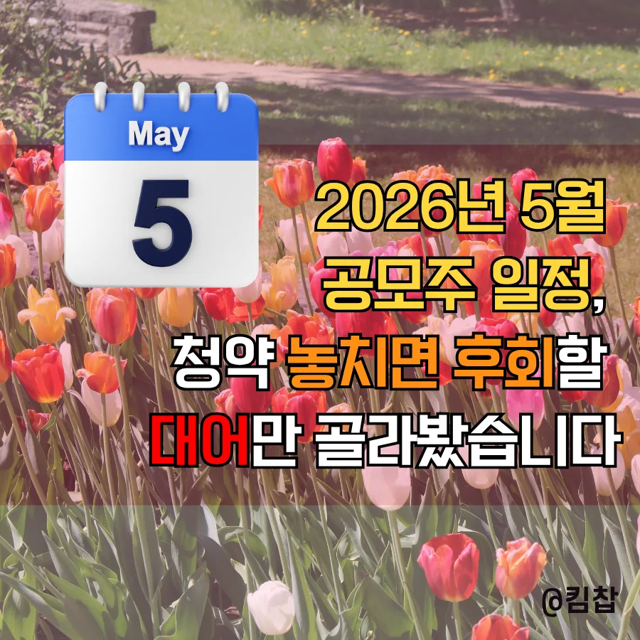 2026년 5월 공모주 청약, 놓치면 후회할 대어 3곳 비교 분석